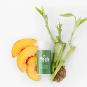 Home Fragrance - Balboa Bamboo